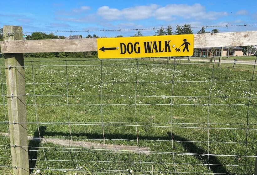 Acdc Glamping, Campervan , Caravan And Tent Resort