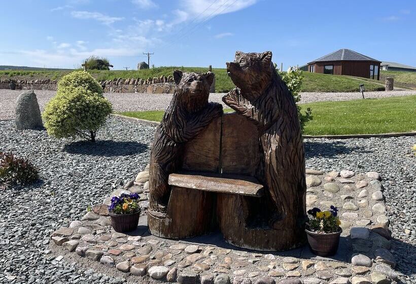 Acdc Glamping, Campervan , Caravan And Tent Resort