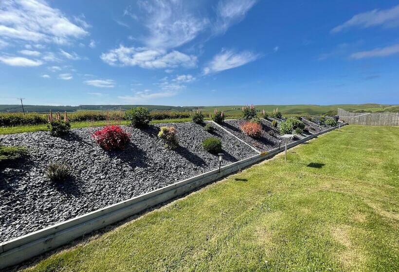 Acdc Glamping, Campervan , Caravan And Tent Resort