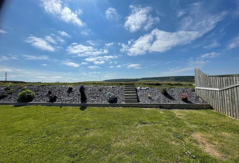 Acdc Glamping, Campervan , Caravan And Tent Resort