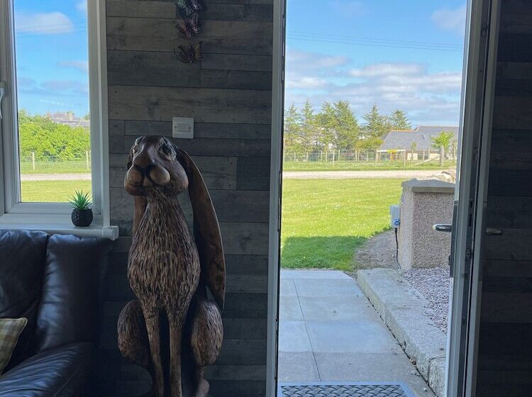 Acdc Glamping, Campervan , Caravan And Tent Resort