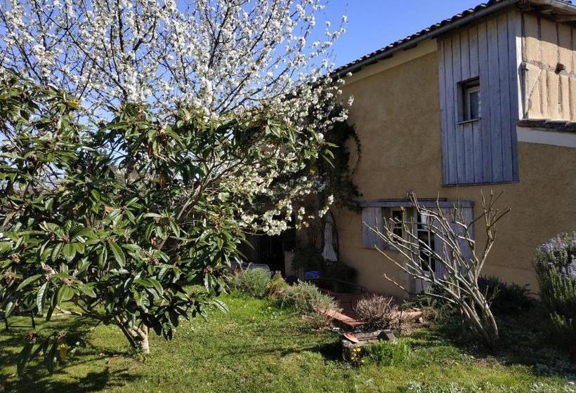 ベッドアンドブレックファースト Au Campaner Chambres Dans Maison Gasconne