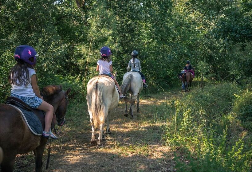 酒店 Village Vacances La Martière   Oléron