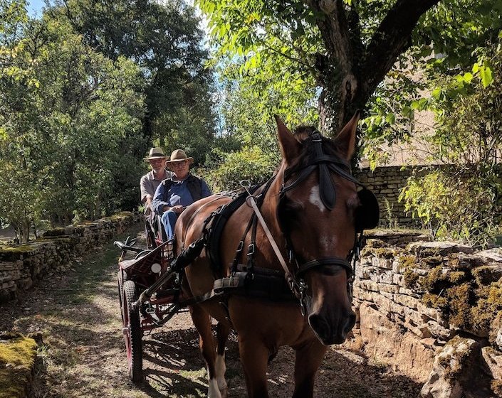 Les Roulottes Du Lot