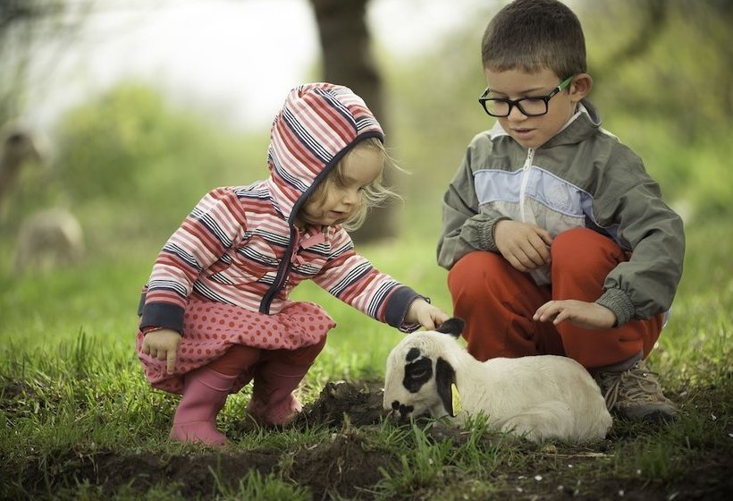 Les Roulottes Du Lot