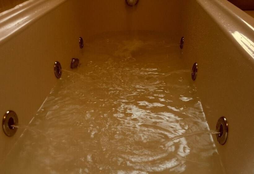 Luxurious Apartments In Conwy