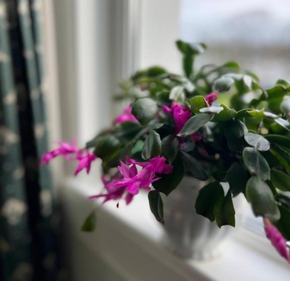 펜션 Princetown Guesthouse