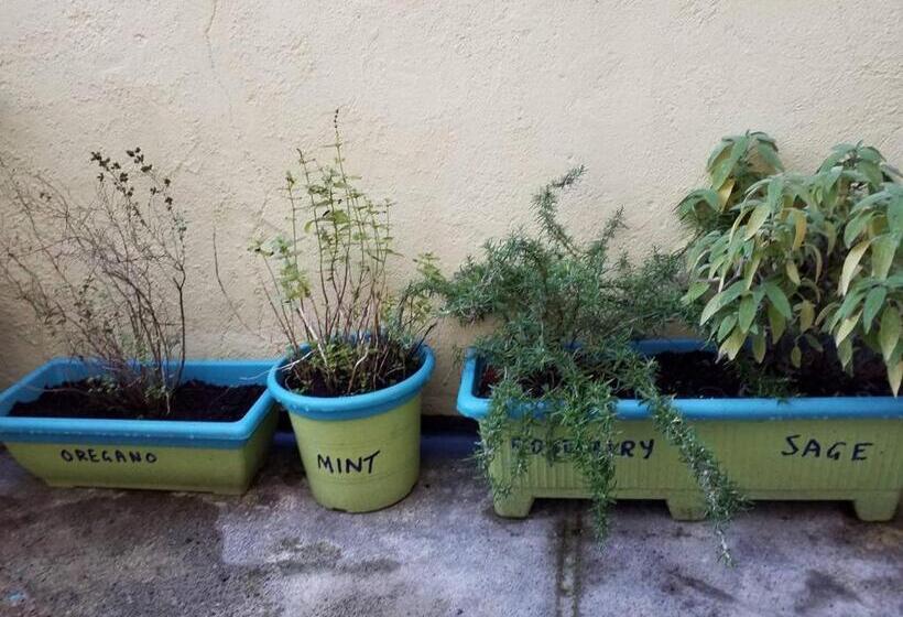 Relaxing 2 Bed House Guisborough   Sofabed Option