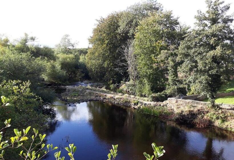 The Angus Suite @ Utopia