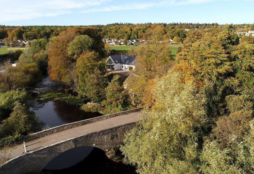 The Angus Suite @ Utopia