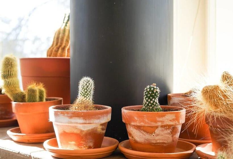 The Atrium Haven Winter Park Cabin Hot Tub