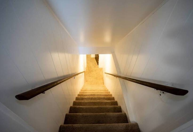 The Colorado Clubhouse In Capitol Hill