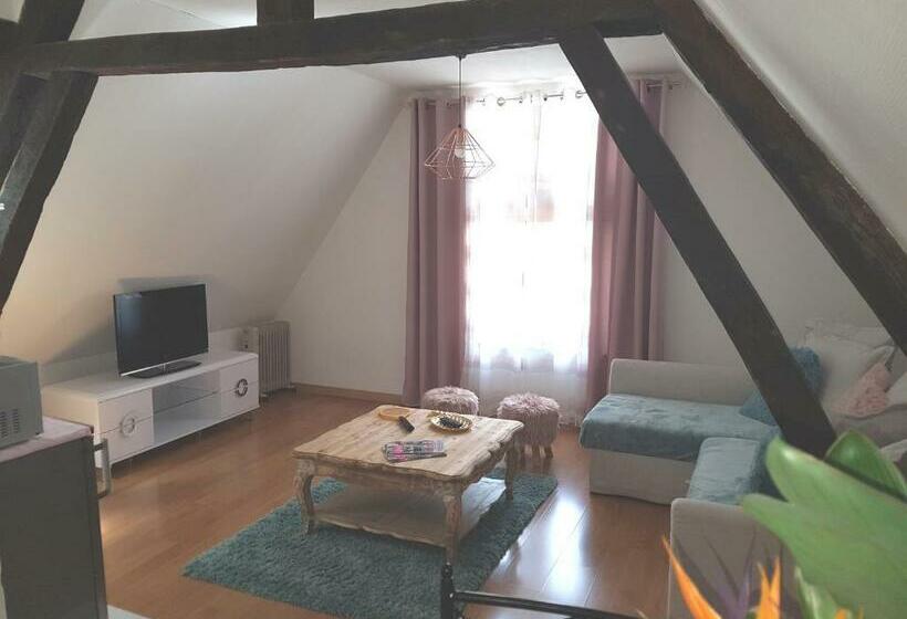 Quartier Cathédrale Centre, Wifi Et Parking   Zen Appart