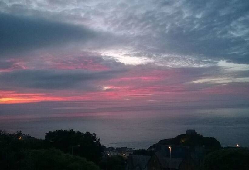 Verity And Ilfracombe Harbour View