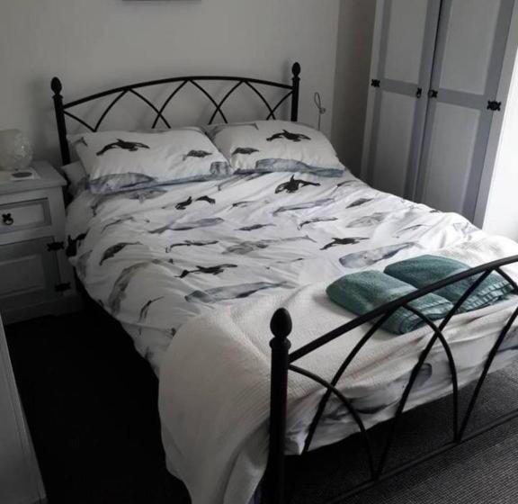 Verity And Ilfracombe Harbour View