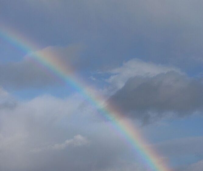 Yewtree Cottage  The Art House