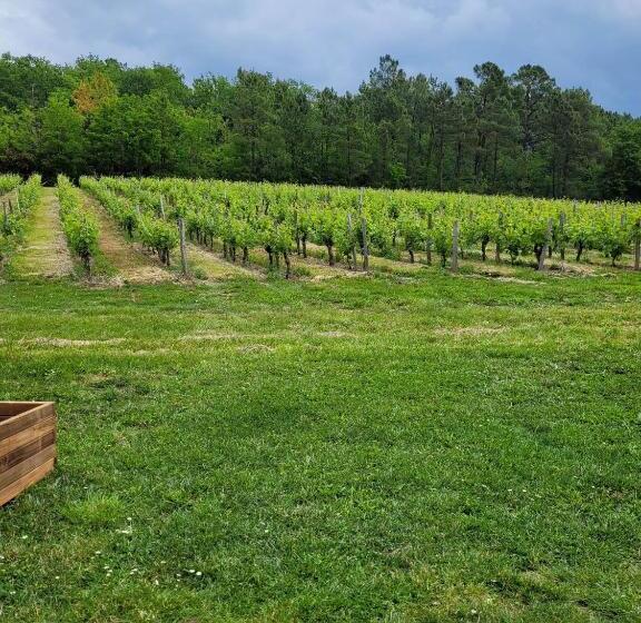 צימר A L Ombre De La Treille  Proche Saint Emilion