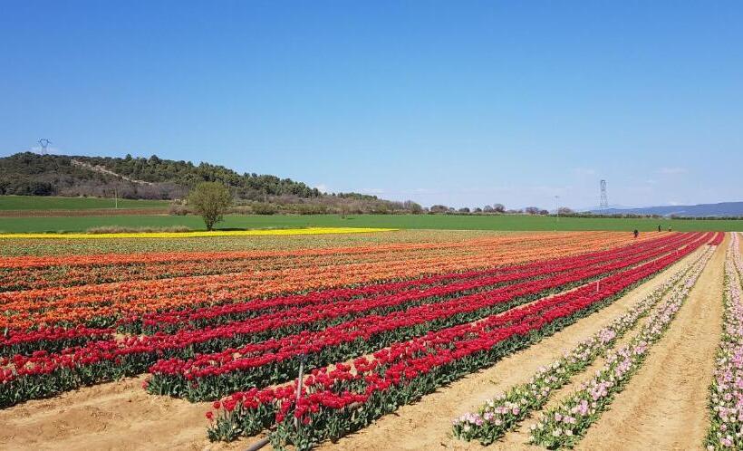 住宿加早餐 La Maison De Lalouette