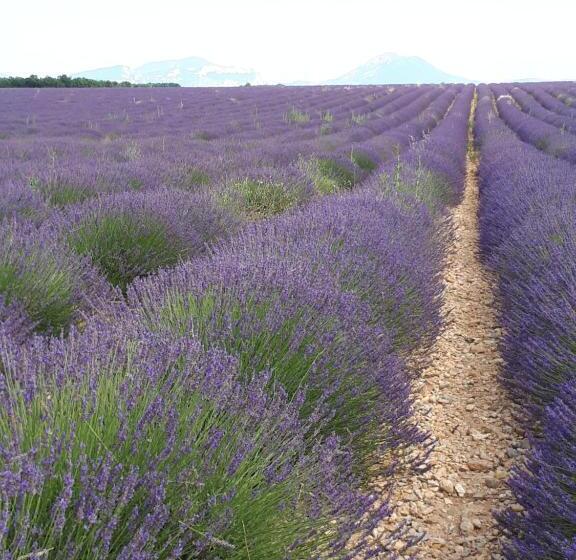 住宿加早餐 La Maison De Lalouette