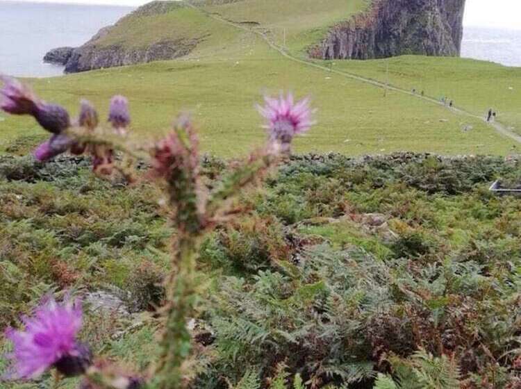 Immaculate 2 Bed House In Colbost