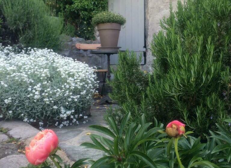 L Alcôve D Amédée V