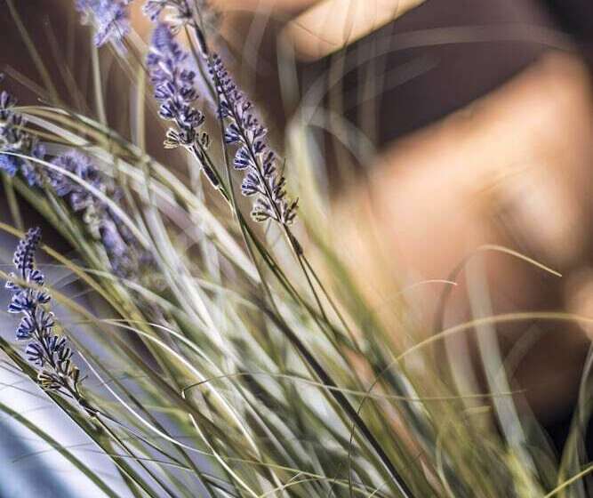 ペンション N Ista Boutique Rooms Birkdale  Southport