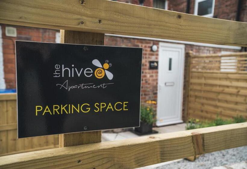 The Hive Apartment
