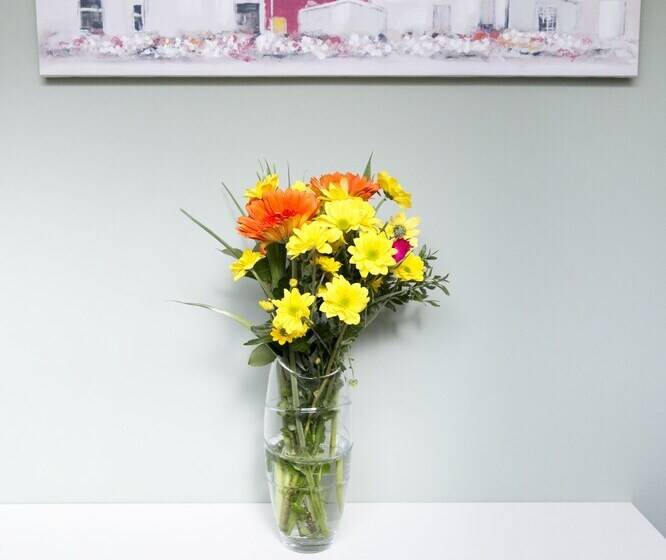 The Neuk Anstruther Sleeps 6 Fantastic Location