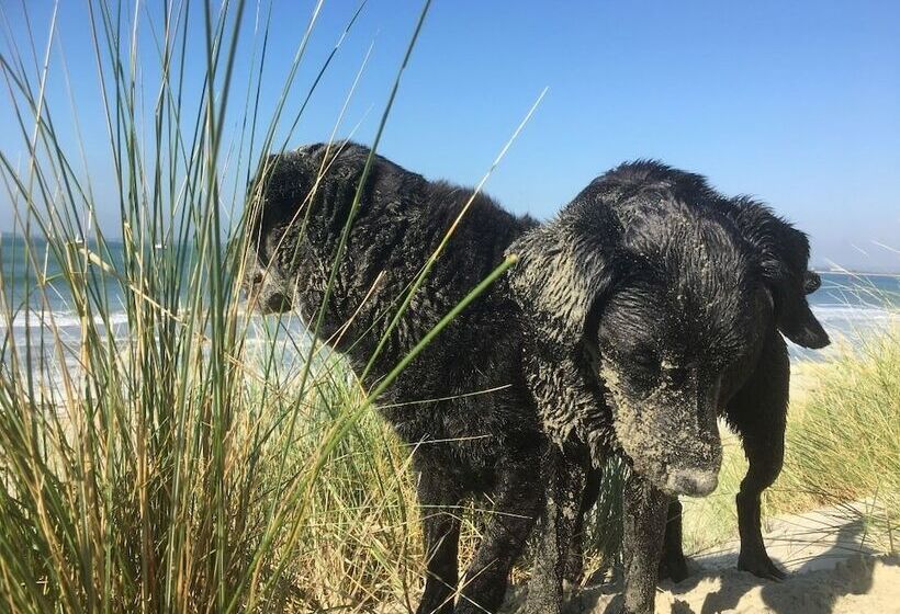 5 Charlton Mill Way B&b