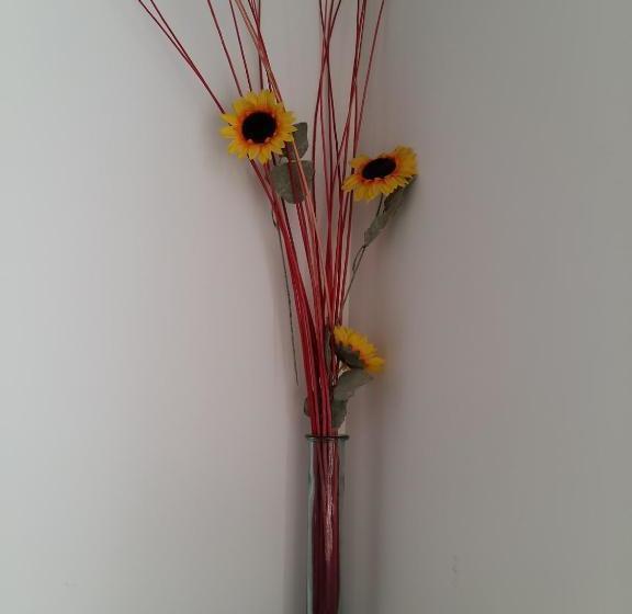 住宿加早餐  Albergue San Jorge: Hospitality, Services & Events