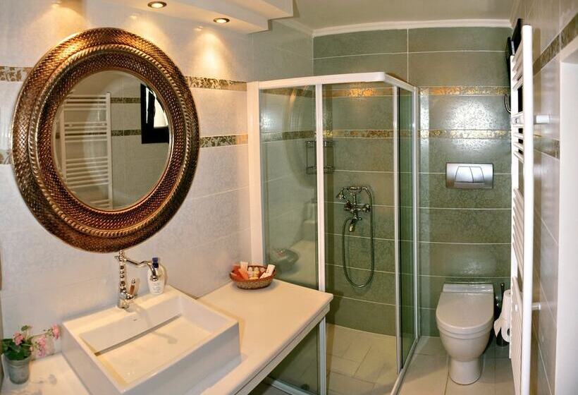 هتل Archontiko Petras 1821