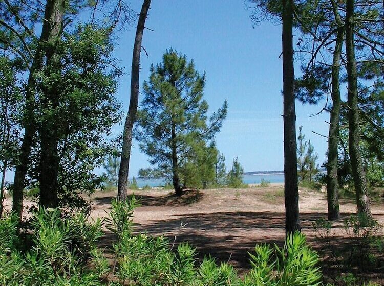 Отель Village Vacances Azureva Ile D Oléron