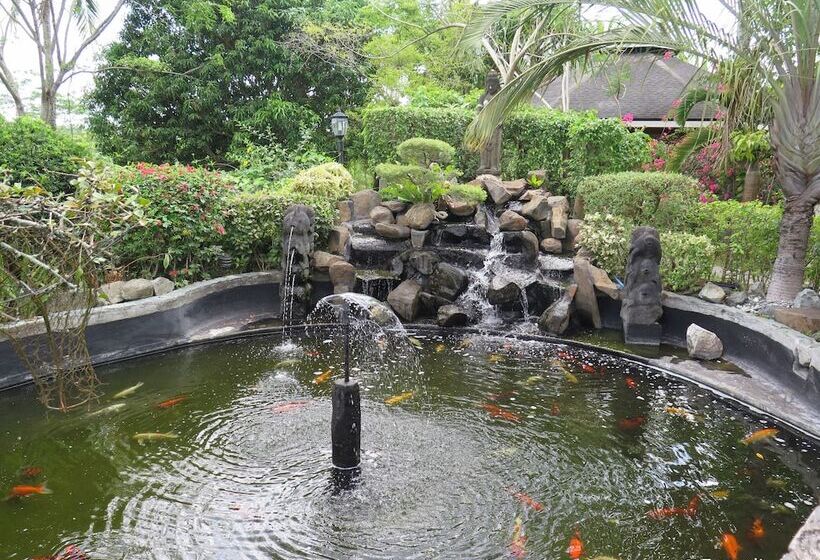 בית מלון כפרי Cintai  Coritos Garden