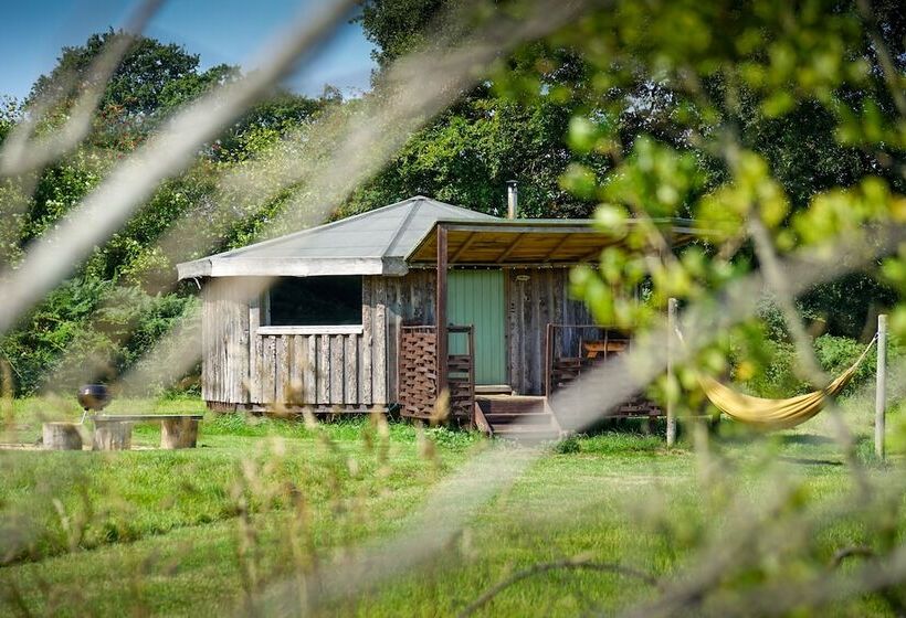 فندق Grey Willow Yurts