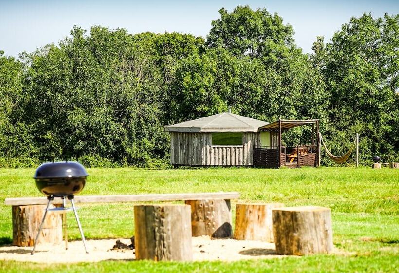 ホテル Grey Willow Yurts