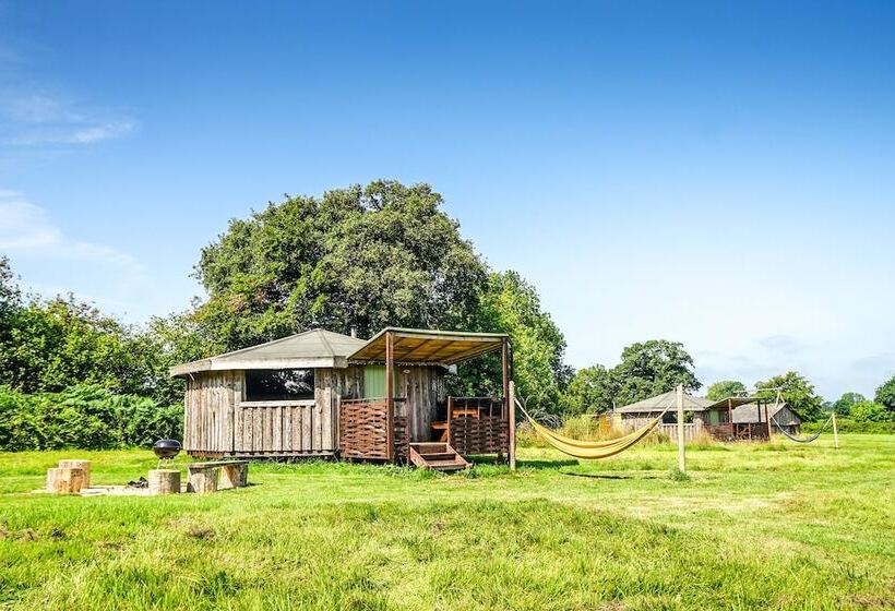 ホテル Grey Willow Yurts