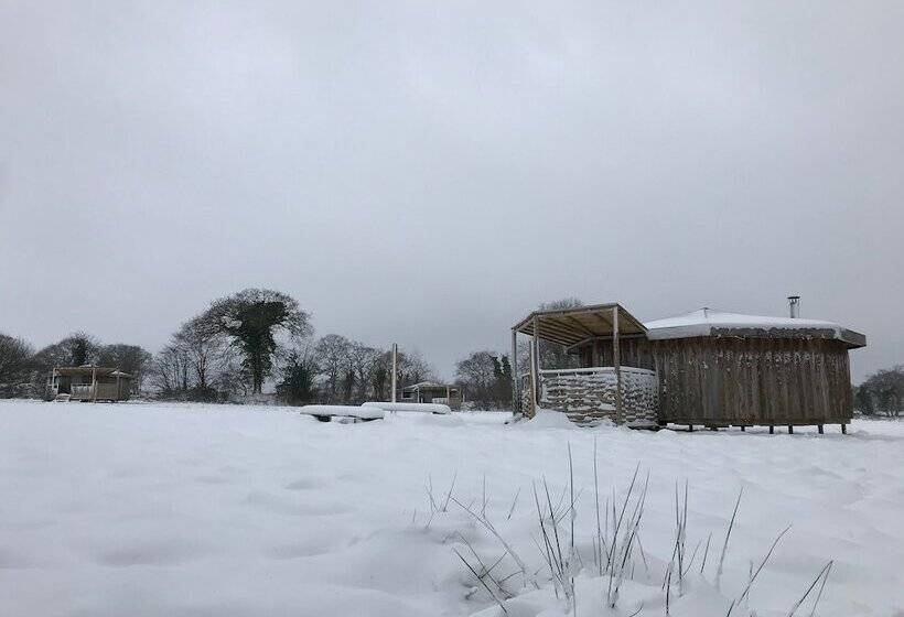 ホテル Grey Willow Yurts