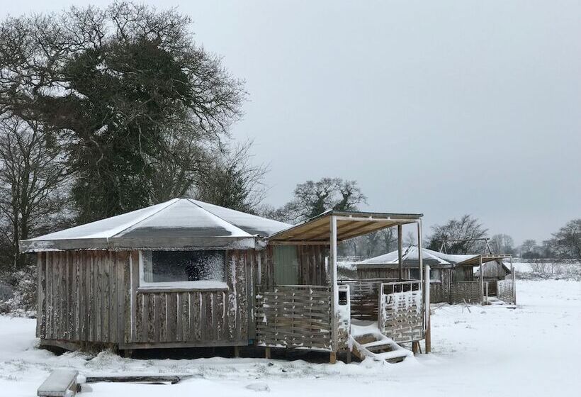 ホテル Grey Willow Yurts