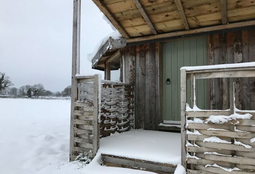 ホテル Grey Willow Yurts