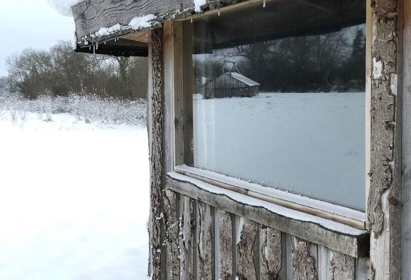 ホテル Grey Willow Yurts