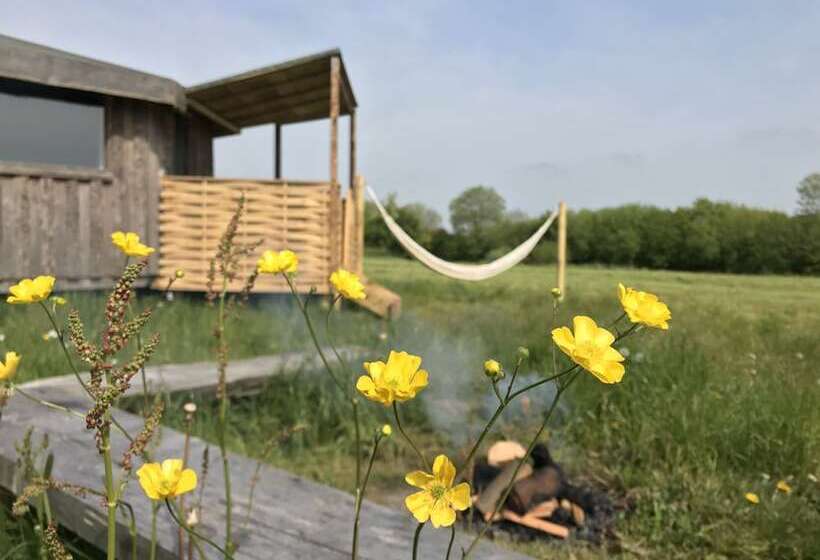 ホテル Grey Willow Yurts