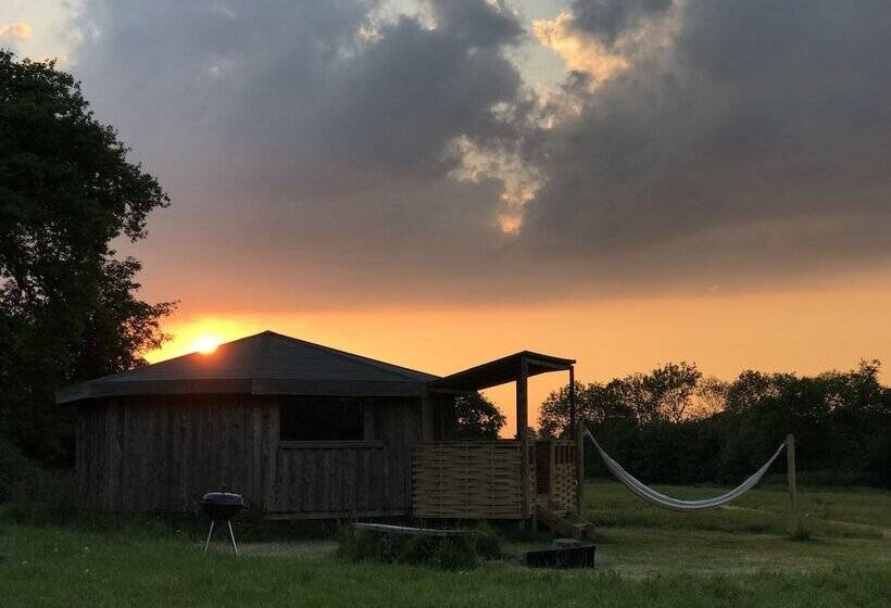 ホテル Grey Willow Yurts