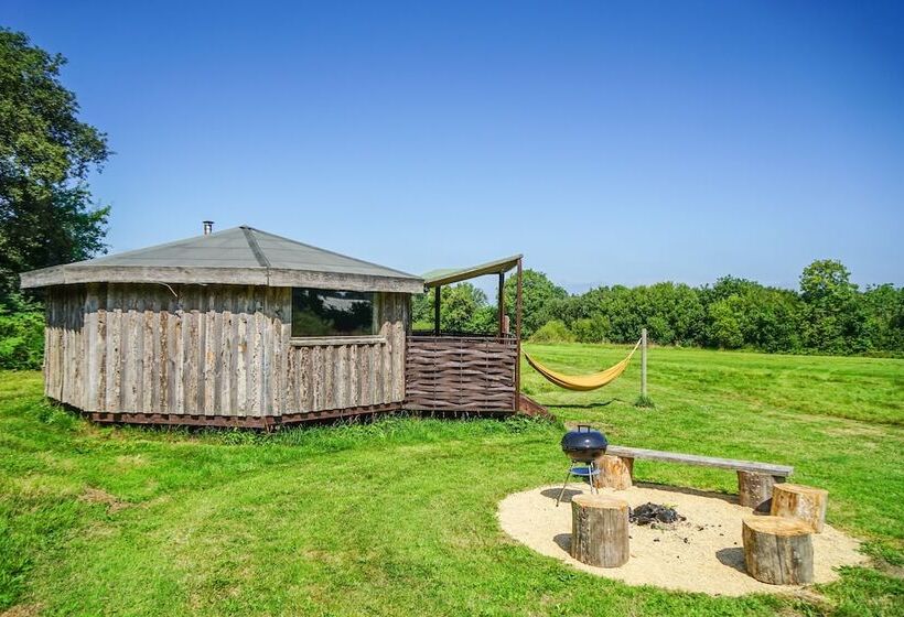 ホテル Grey Willow Yurts