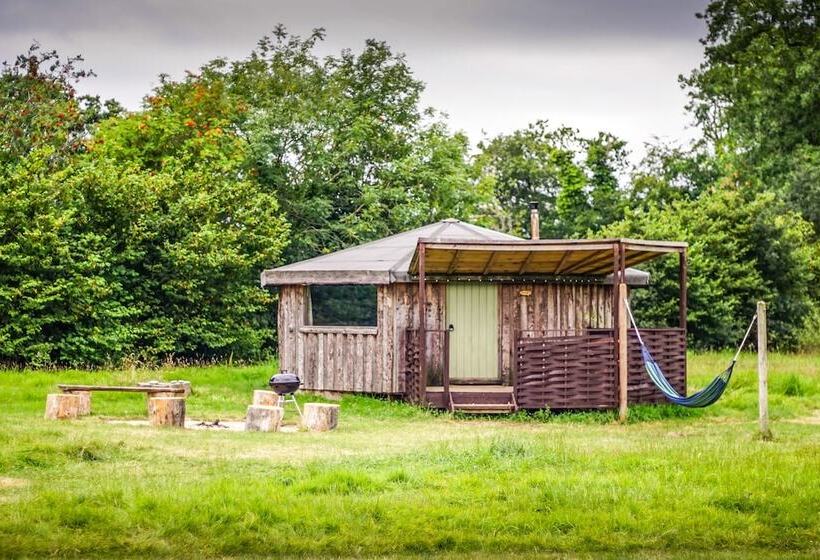 ホテル Grey Willow Yurts