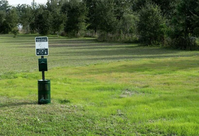 Отель Home2 Suites By Hilton Jacksonville Airport