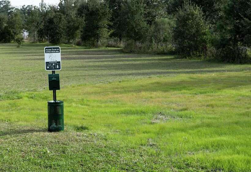 Отель Home2 Suites By Hilton Jacksonville Airport