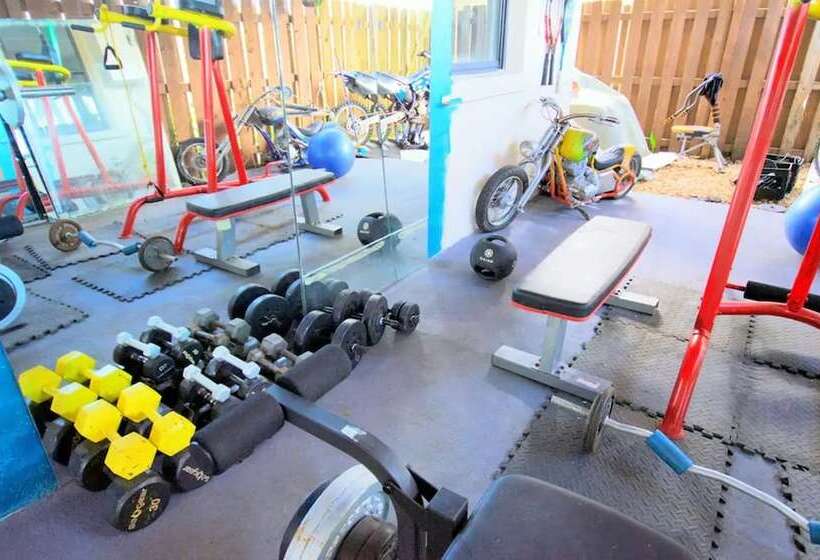 Magic House By Traveline Plus