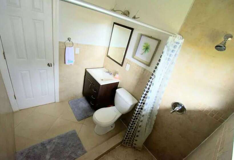 Magic House By Traveline Plus