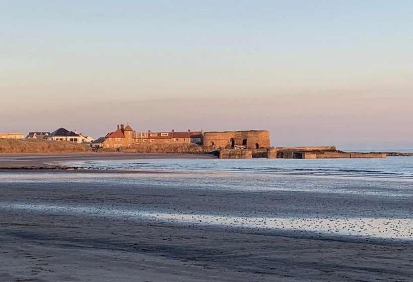 Newly Renovated & Spacious House