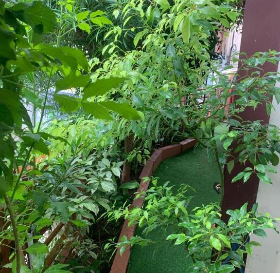 Rudram Hotel Yoga & Ayurveda Retreat